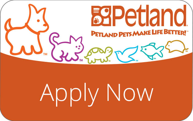Puppy Financing – Petland Pensacola, Florida Pet Store