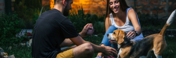 Pet Store Banner